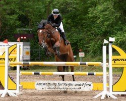 jumper Amy Solei (Westphalian, 2017, from A La Carte NRW)