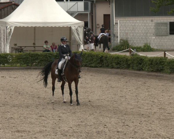 Reitturnier Olfen-Vinnum 2025