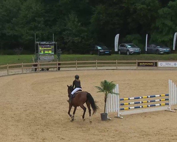 Reitturnier Tiefenhof/Opf. 2025