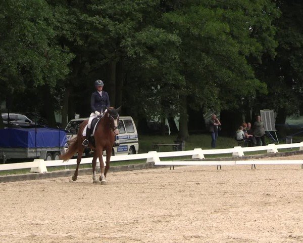 Reitturnier Gallinchen 2025