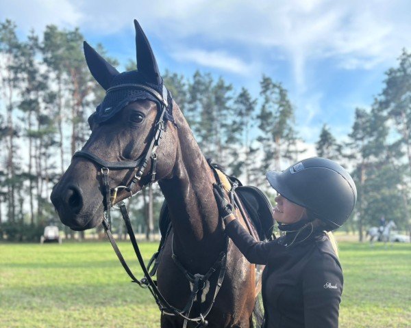 broodmare Lilly Fee 42 (Zangersheide riding horse, 2018, from Castino 4)