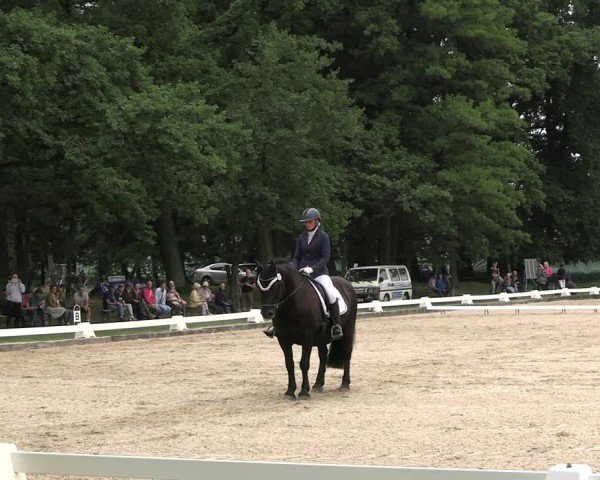 Reitturnier Gallinchen 2025