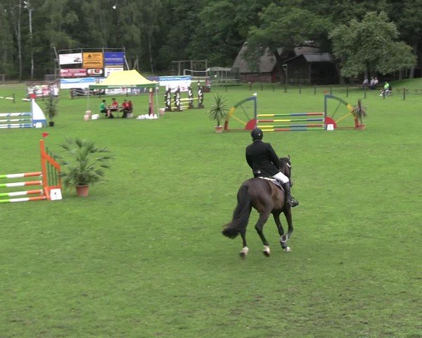 Reitturnier Gallinchen 2025