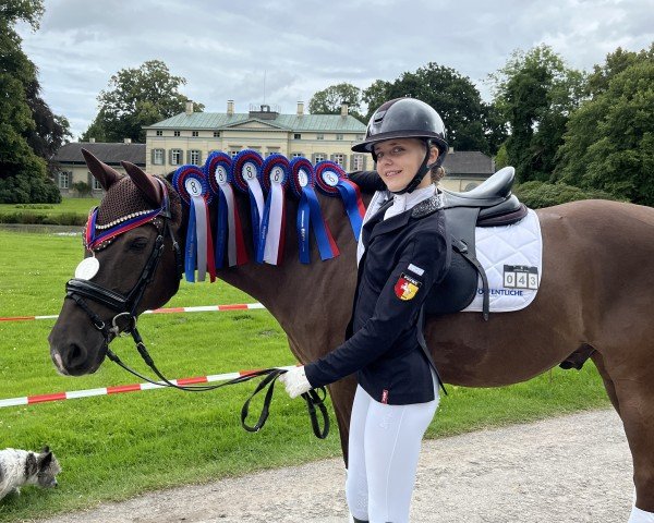 Dressurpferd Ebensburg Odin (Deutsches Reitpony, 2011, von High Flow's Oxford)