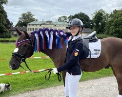 Dressurpferd Ebensburg Odin (Deutsches Reitpony, 2011, von High Flow's Oxford)