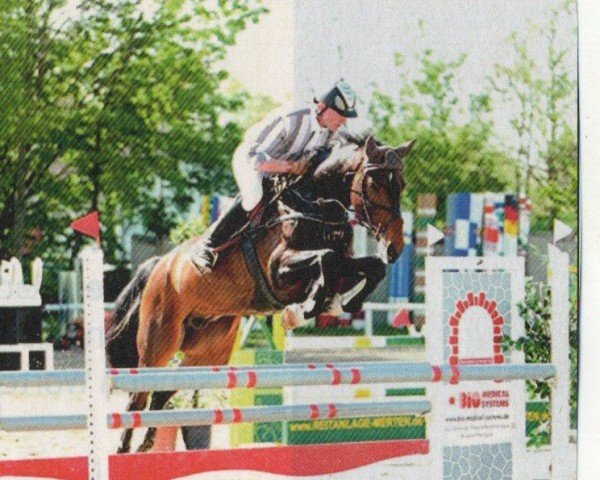 broodmare Banoeska Cara (KWPN (Royal Dutch Sporthorse), 2006, from Colandro)