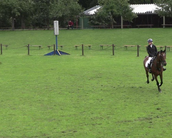 Reitturnier Gallinchen 2025