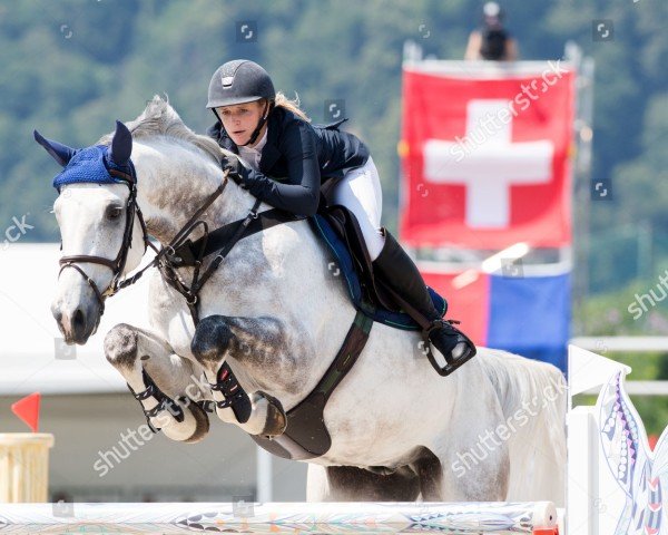 Springpferd Douglass Chavannais (Belgisches Warmblut, 2009, von Cicero Z van Paemel)