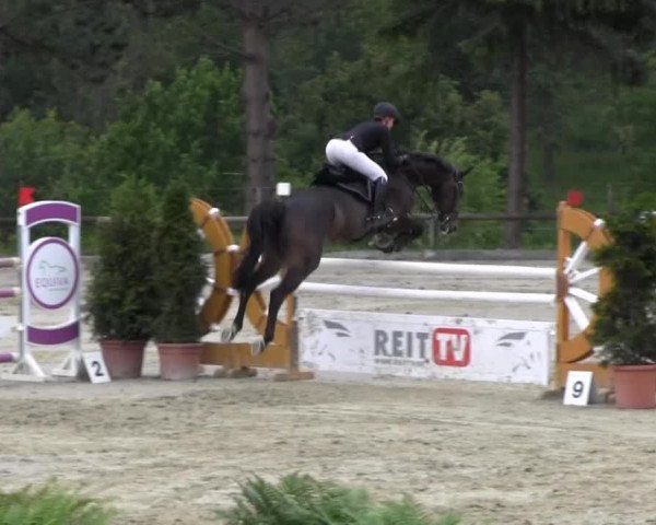 Erkrath - Uhlenhof 2014