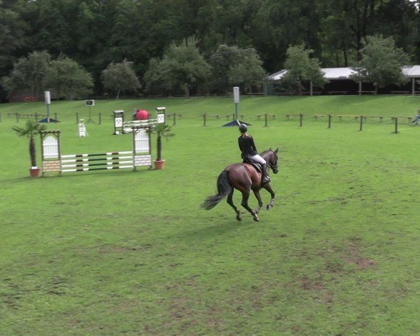 Reitturnier Gallinchen 2025