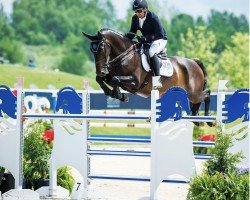jumper Omar van de Hunters (Belgian Warmblood, 2014, from Hunters Scendro)