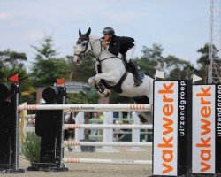 Springpferd Svea Douch Z (Zangersheide Reitpferd, 2012, von Spartacus TN)