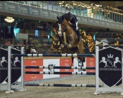 jumper Epic (anglo european sporthorse, 2015, from Billy Mexico)