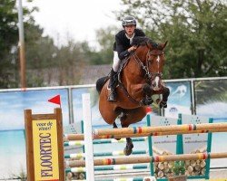 jumper Gow Gow (KWPN (Royal Dutch Sporthorse), 2011, from Carambole)