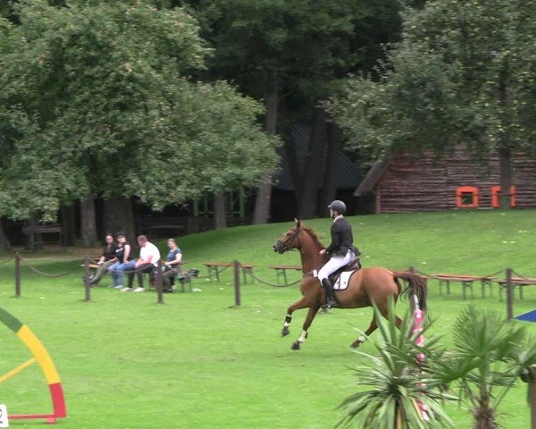 Reitturnier Gallinchen 2025