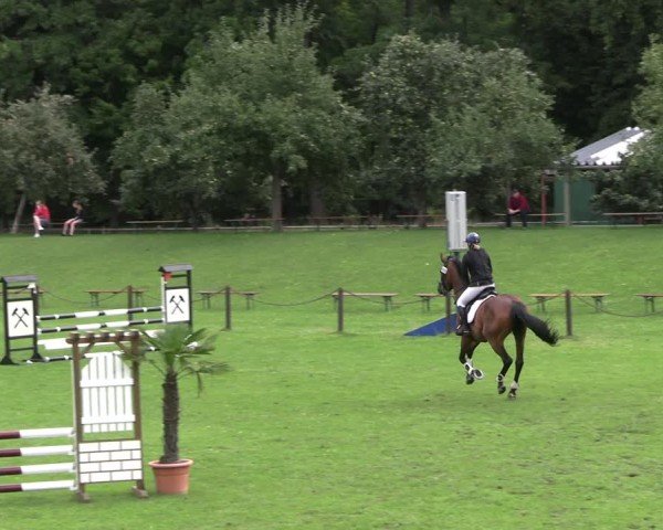Reitturnier Gallinchen 2025