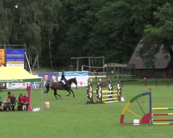 Reitturnier Gallinchen 2025