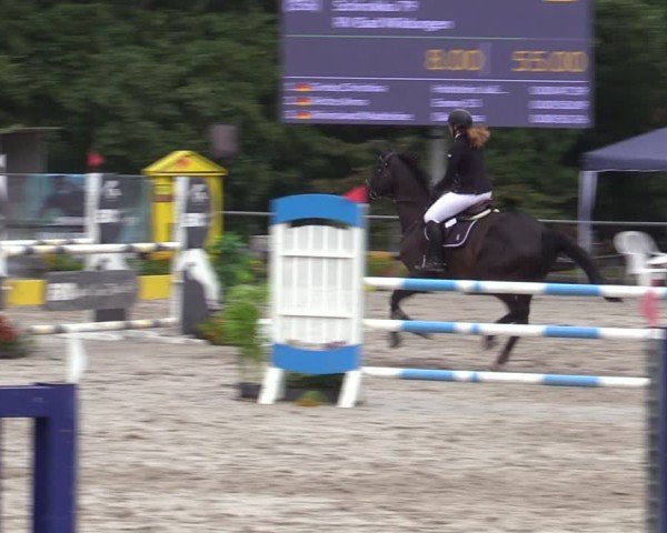 Reitturnier Bad Wildungen 2025
