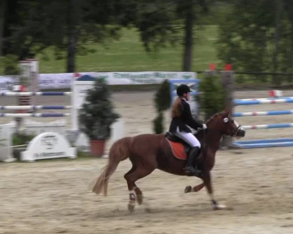 Erkrath - Uhlenhof 2014
