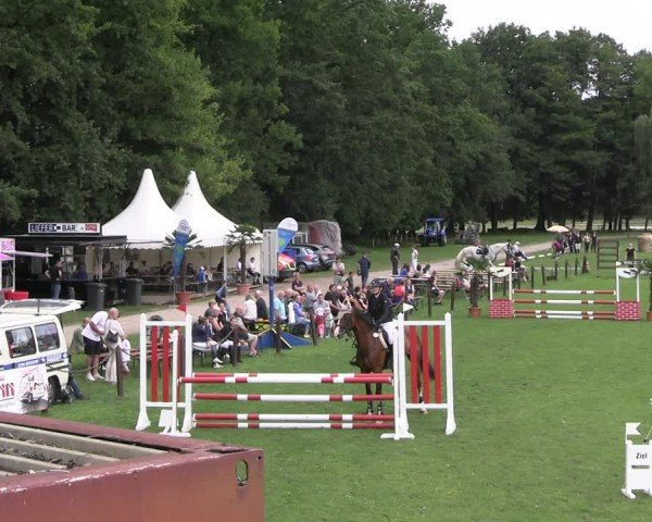 Reitturnier Gallinchen 2025