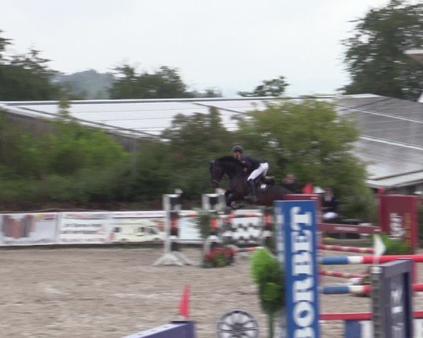 Reitturnier Bad Wildungen 2025