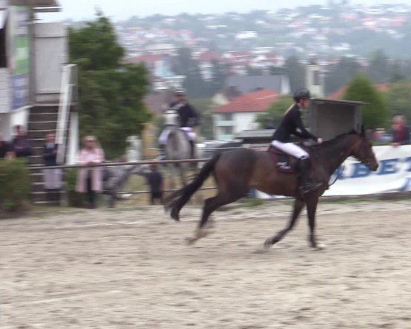 Reitturnier Bad Wildungen 2025