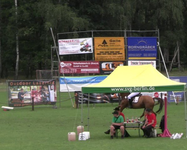 Reitturnier Gallinchen 2025