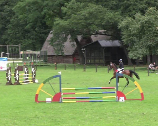 Reitturnier Gallinchen 2025