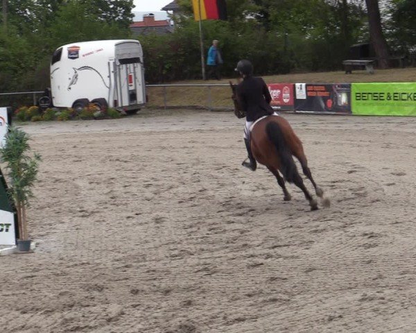 Reitturnier Bad Wildungen 2025