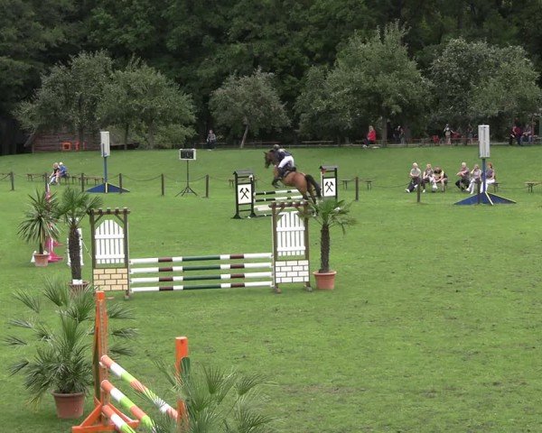 Reitturnier Gallinchen 2025