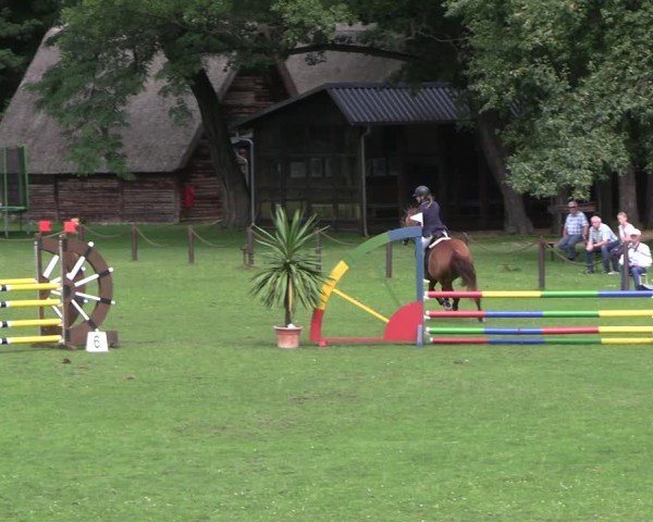 Reitturnier Gallinchen 2025