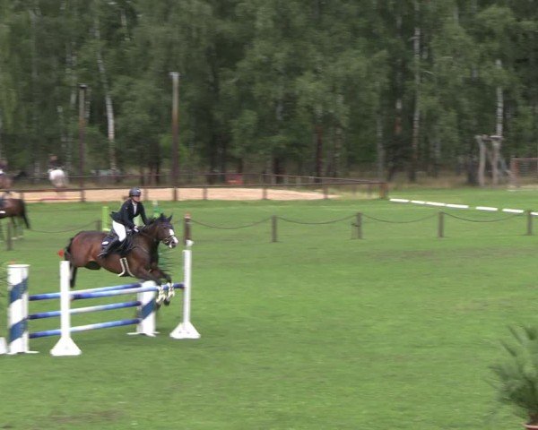 Reitturnier Gallinchen 2025
