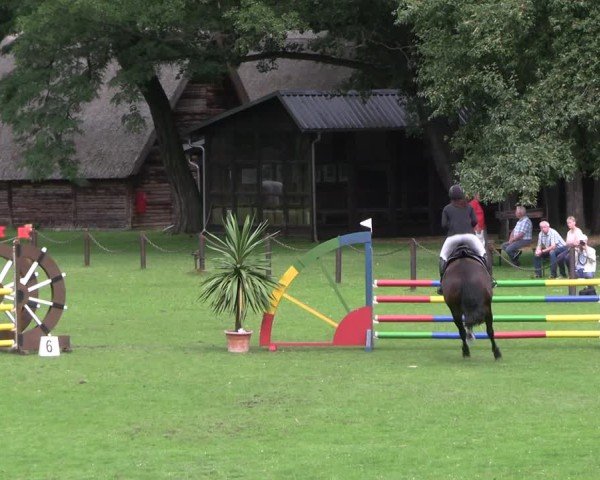 Reitturnier Gallinchen 2025