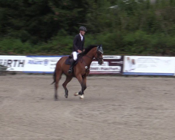 Reitturnier Bad Wildungen 2025