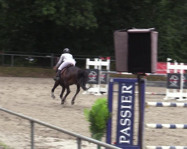 Reitturnier Bad Wildungen 2025
