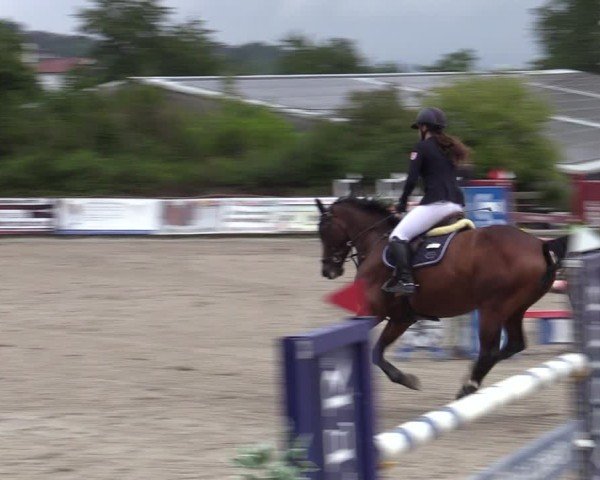 Reitturnier Bad Wildungen 2025