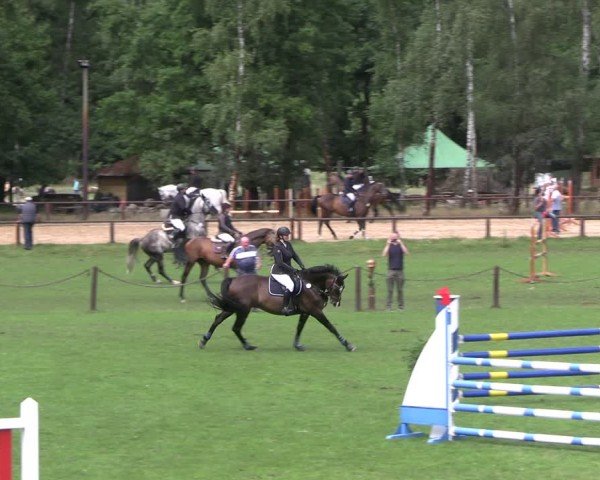 Reitturnier Gallinchen 2025