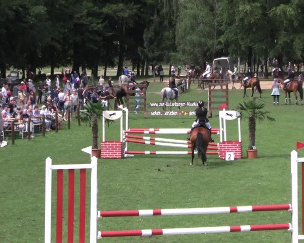 Reitturnier Gallinchen 2025