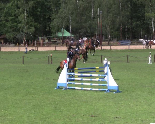 Reitturnier Gallinchen 2025