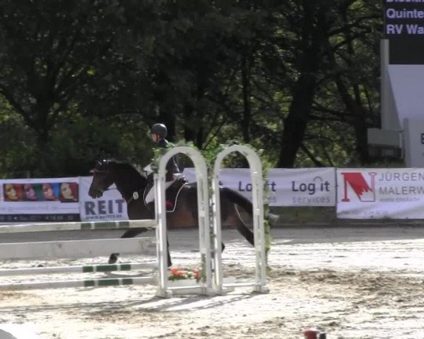 Erkrath - Uhlenhof 2014