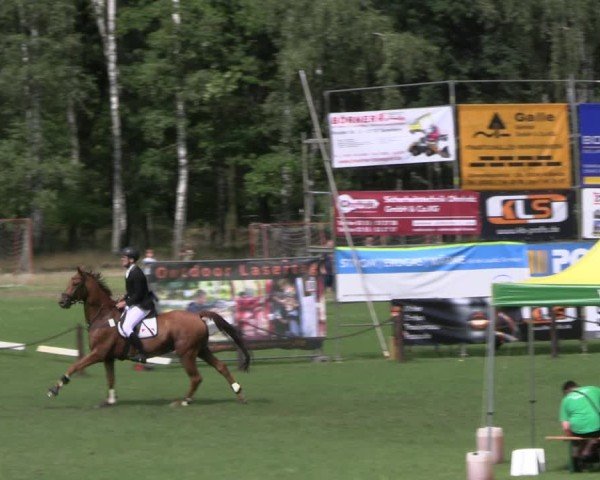 Reitturnier Gallinchen 2025
