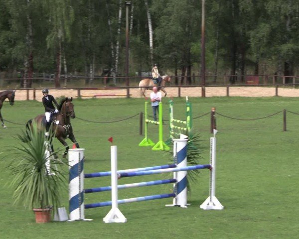 Reitturnier Gallinchen 2025