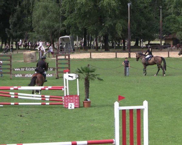 Reitturnier Gallinchen 2025