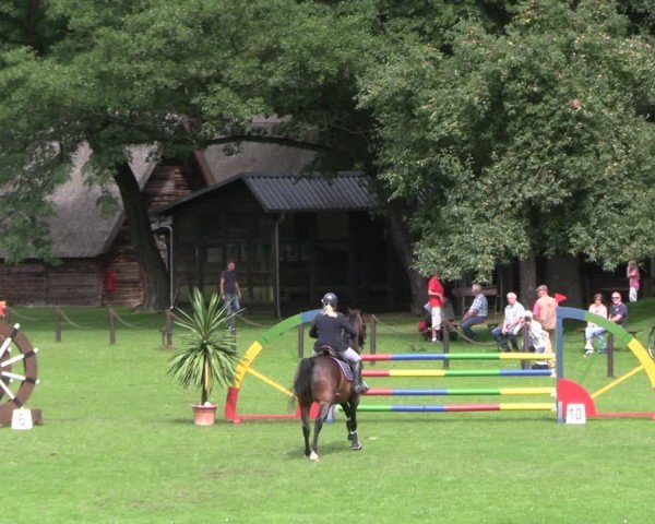Reitturnier Gallinchen 2025