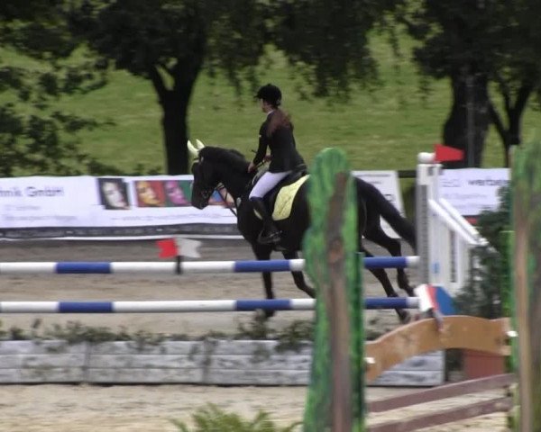 Erkrath - Uhlenhof 2014