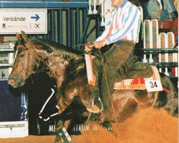 Deckhengst Mr BH Jac (Quarter Horse, 1992, von Hollywood Jac 86)