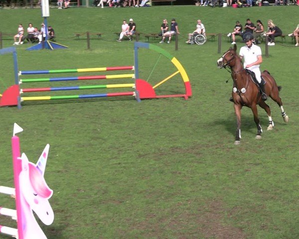 Reitturnier Gallinchen 2025
