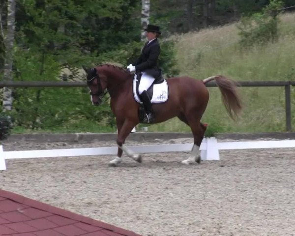 Erkrath - Uhlenhof 2014
