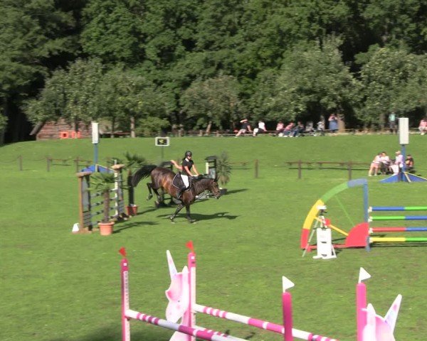 Reitturnier Gallinchen 2025