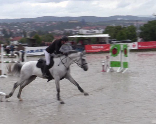 Reitturnier Bad Wildungen 2025